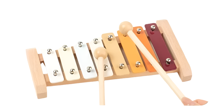 Montessori Musical Instruments Kit