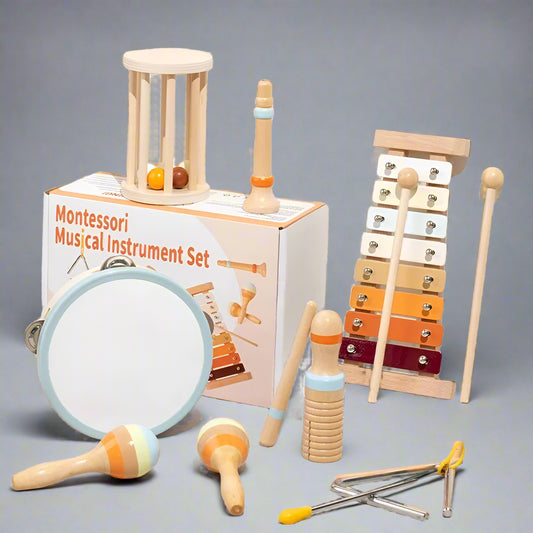 Montessori Musical Instruments Kit