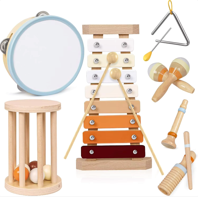 Montessori Musical Instruments Kit