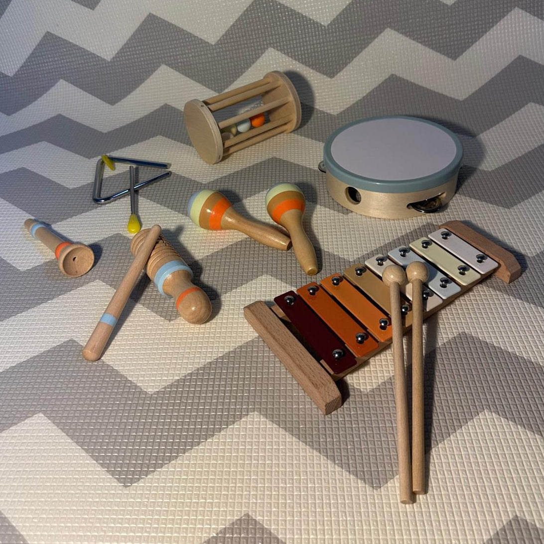 Montessori Musical Instruments Kit